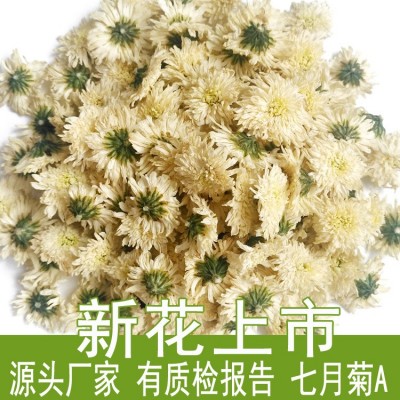 24年新花安徽白菊花散装批发500g七月菊产地货源厂家黄山贡菊花茶  1斤