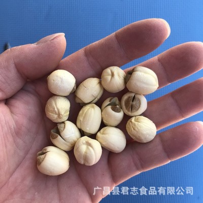 君志 江西广昌白莲带芯莲子干货批发 新鲜500g无硫新货粉糯大颗粒    2包